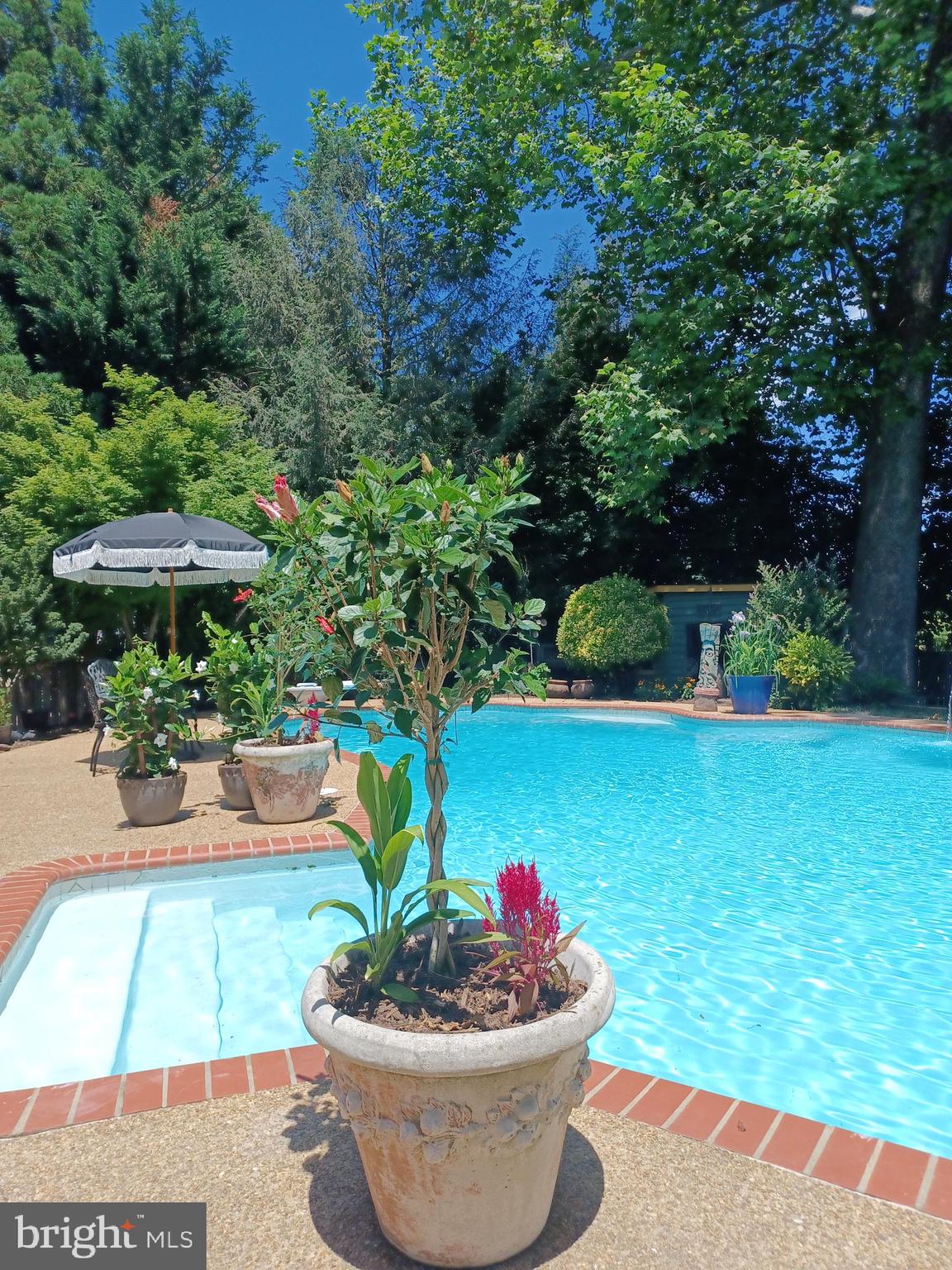 5231 Nutting Drive Springfield, VA 22151 - Photo 31 of 32 Pool 2