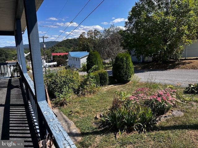 303 16th Street Saxton, PA 16678 - Photo 7 of 44 a view of a garden with potted plants