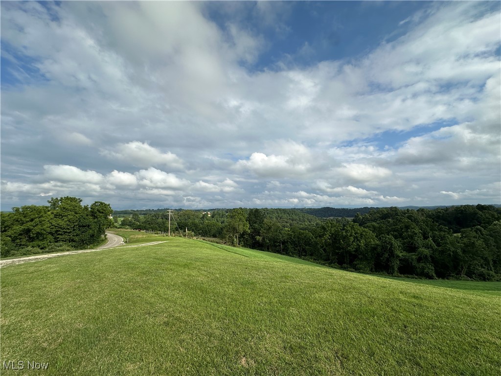 18331 Davis Ridge Road Caldwell, OH 43724 - Photo 24 of 31 View of green lawn with a view of trees