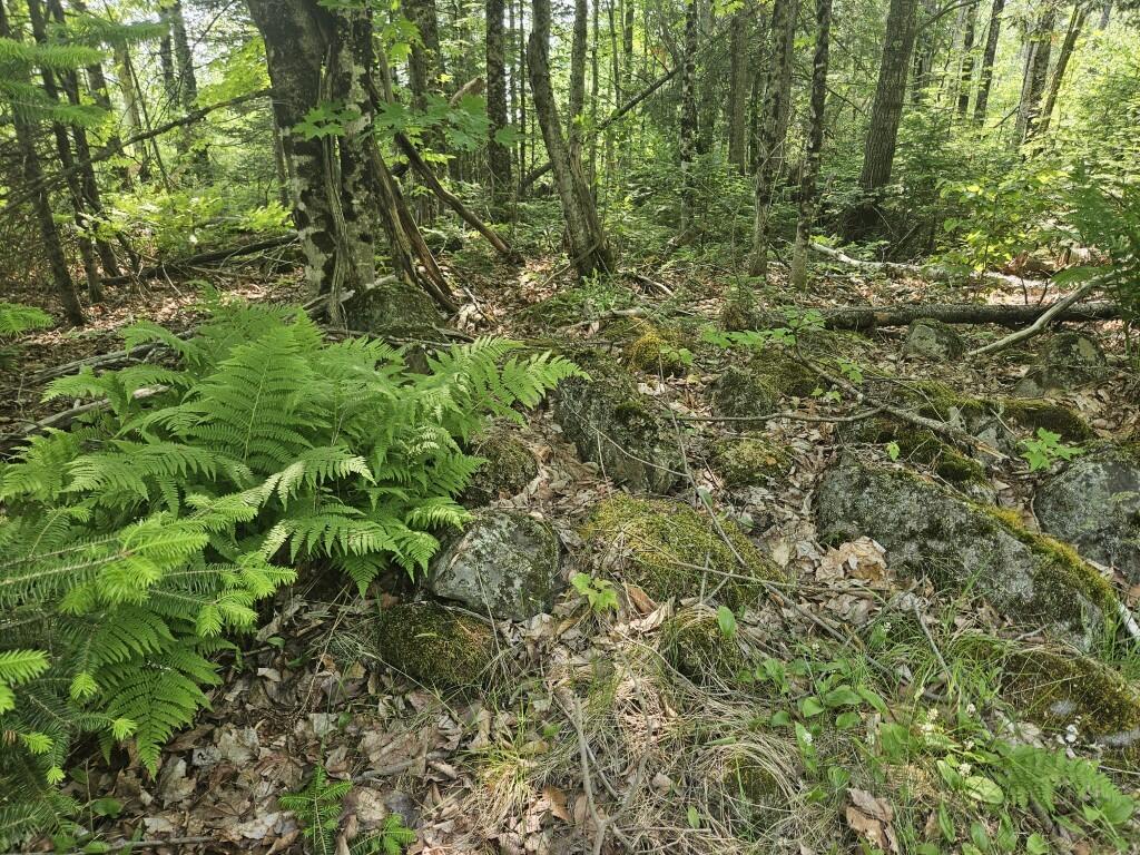 2016 Hudson Road Hudson, ME 04449 - Photo 32 of 36