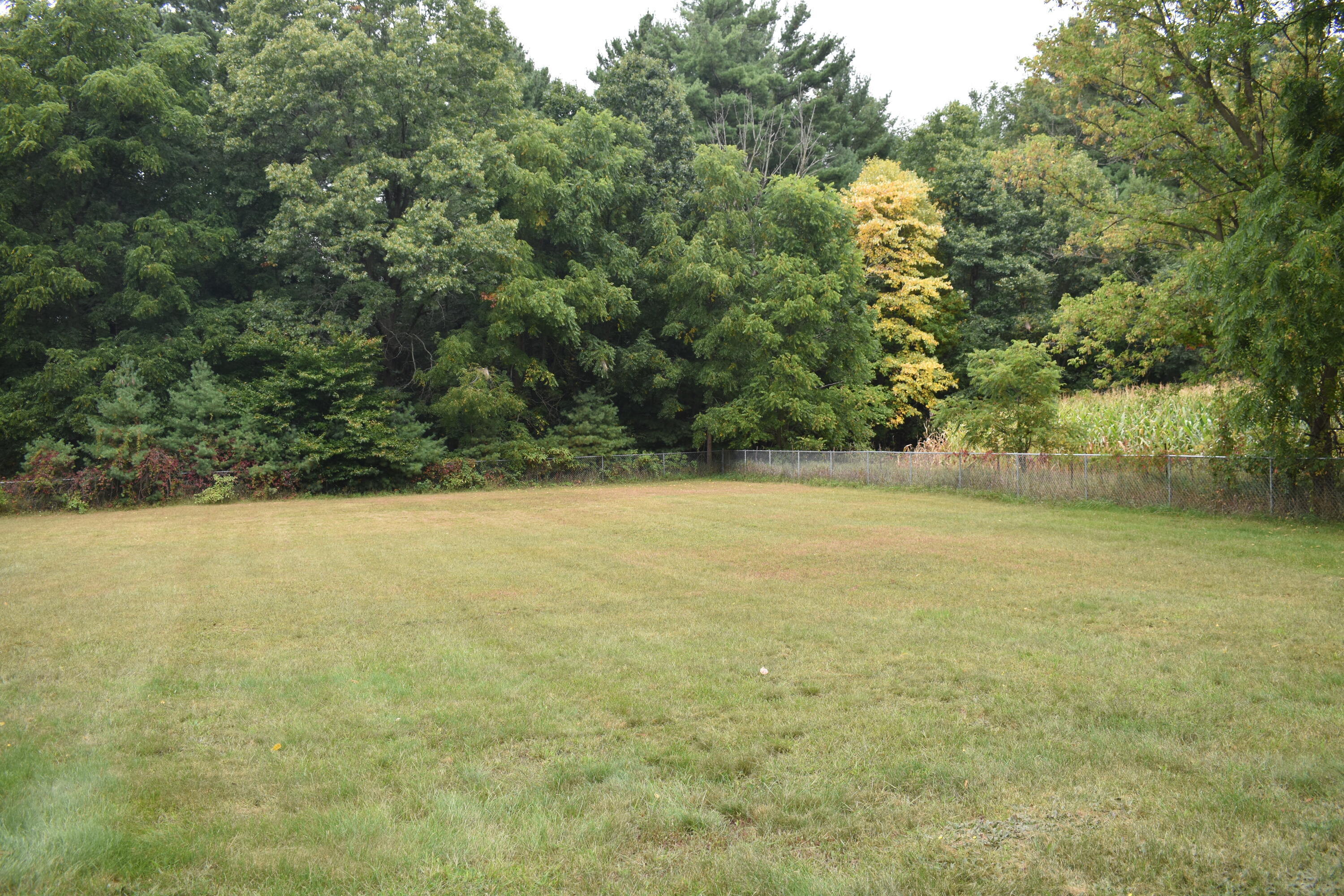 4202 South Maple Island Road Fremont, MI 49412 - Photo 9 of 15 DSC_0542
