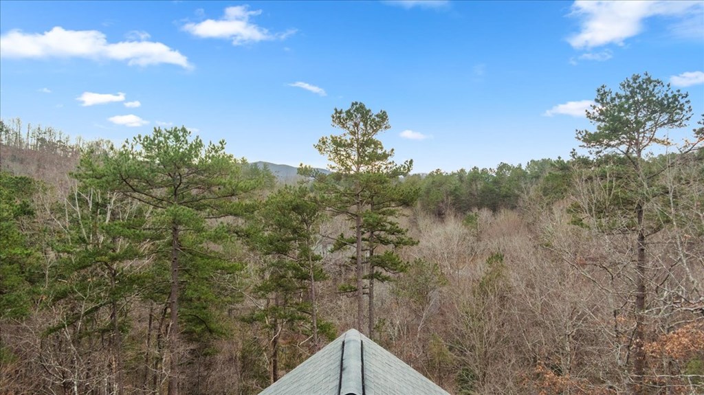 26 Chickasaw Trail Blue Ridge, GA 30513 - Photo 4 of 54 Gallery Image 4