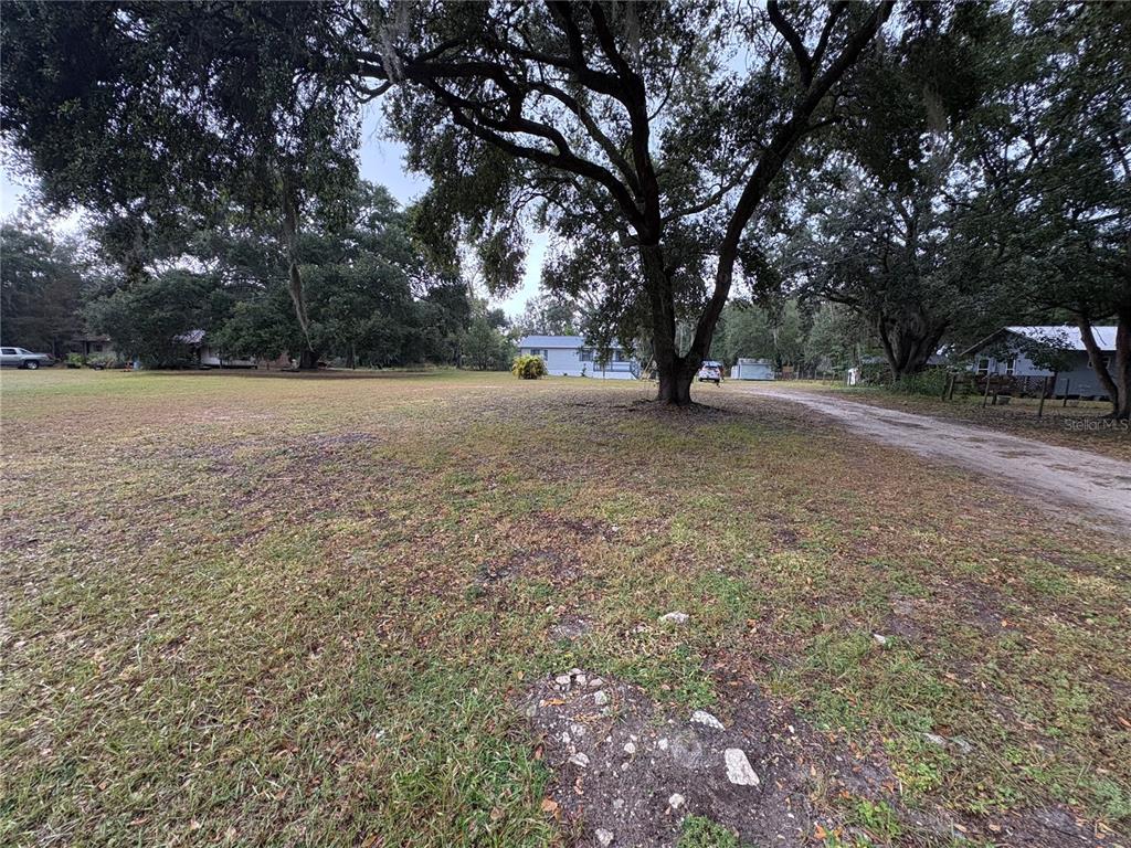 5206 Grimes Road Polk City, FL 33868 - Photo 14 of 17 a view of a tree in the middle of a yard