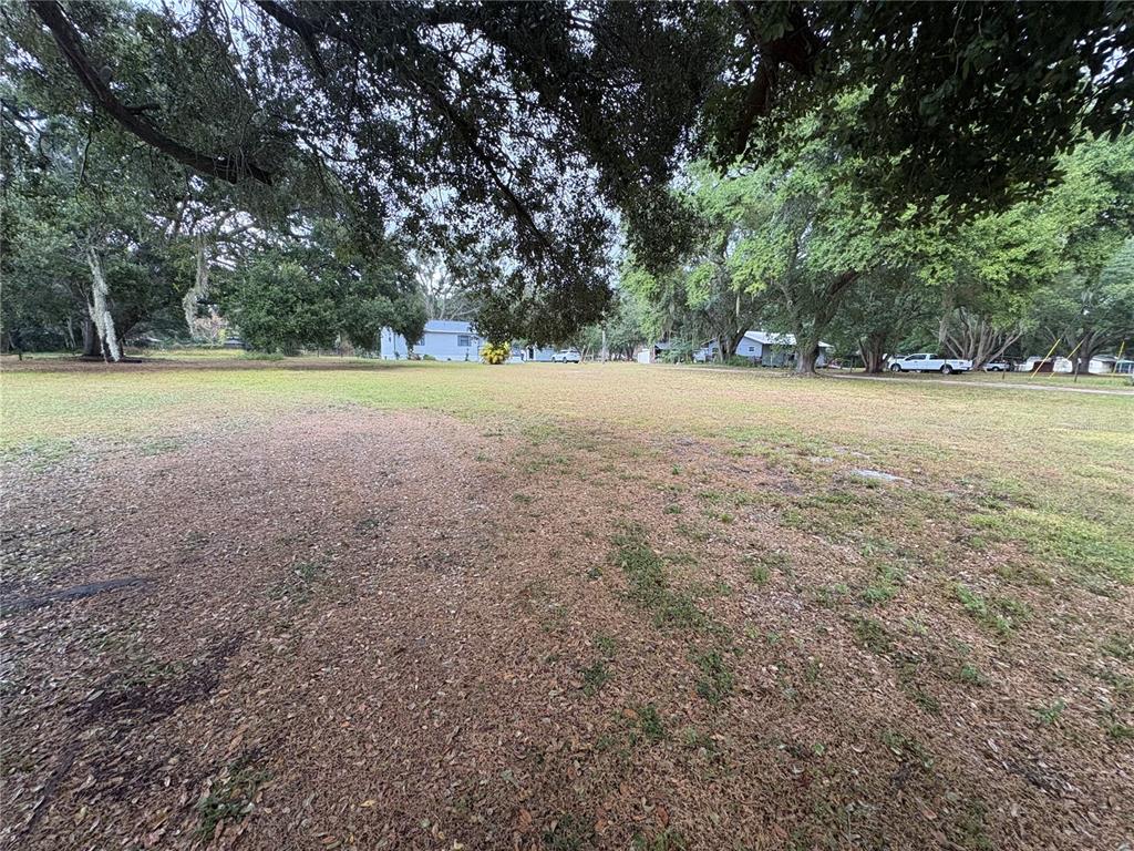 5206 Grimes Road Polk City, FL 33868 - Photo 16 of 17 a view of outdoor space with trees