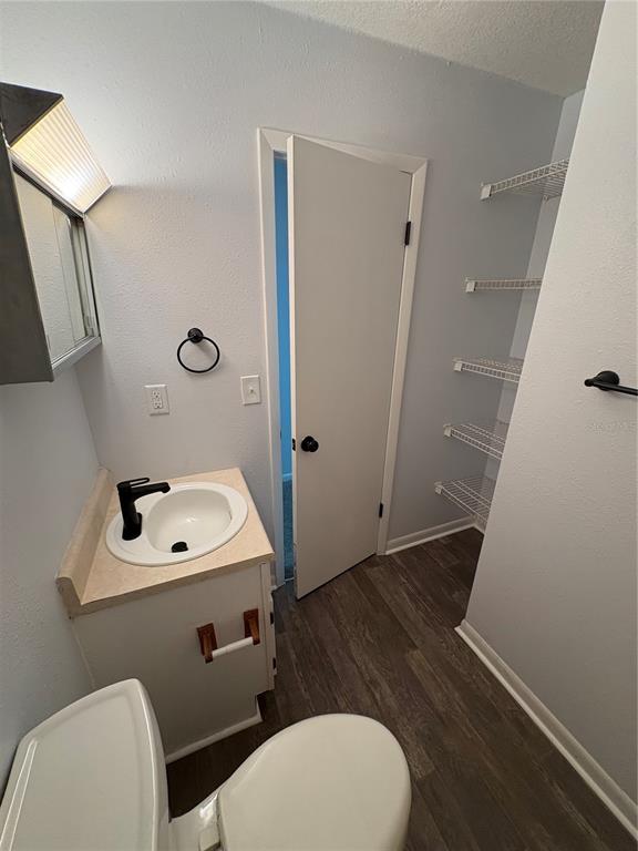 5206 Grimes Road Polk City, FL 33868 - Photo 9 of 17 a bathroom with a sink a toilet a mirror and vanity