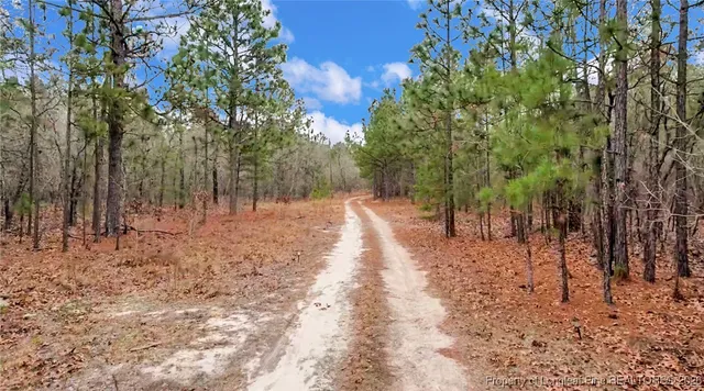 $150,000 | 240-95 Burtons Lane, Cameron, NC 28326