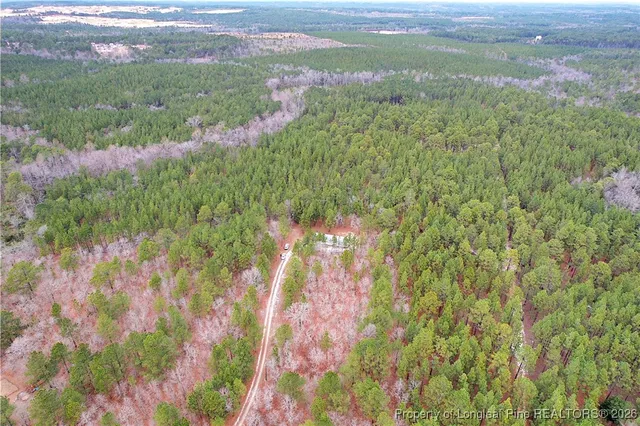 $150,000 | 240-95 Burtons Lane, Cameron, NC 28326