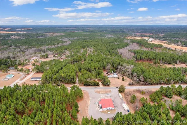 $150,000 | 240-95 Burtons Lane, Cameron, NC 28326