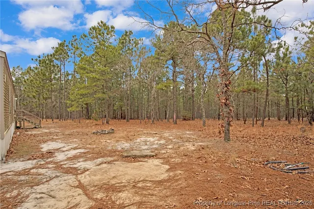 $150,000 | 240-95 Burtons Lane, Cameron, NC 28326