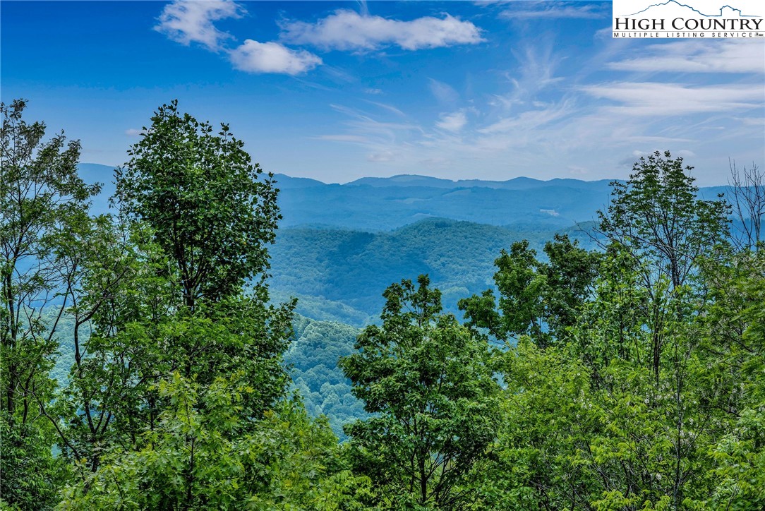 289 Summit Drive Todd, NC 28684 - Photo 2 of 42 a view of a bunch of trees and bushes
