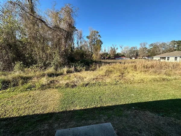 a view of swimming pool with a backyard