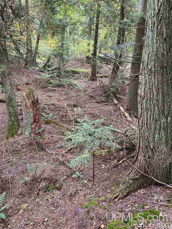 Tbd South Wiggins Point Trail Manistique, MI 49854 - Photo 14 of 18