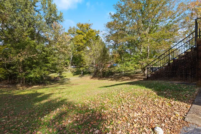 a view of yard with green space