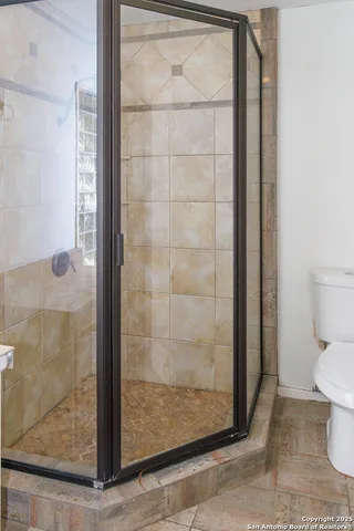 a bathroom with a shower and toilet
