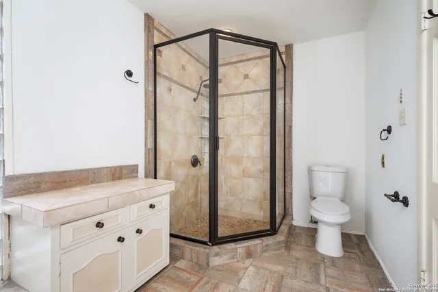 a bathroom with a shower and a toilet