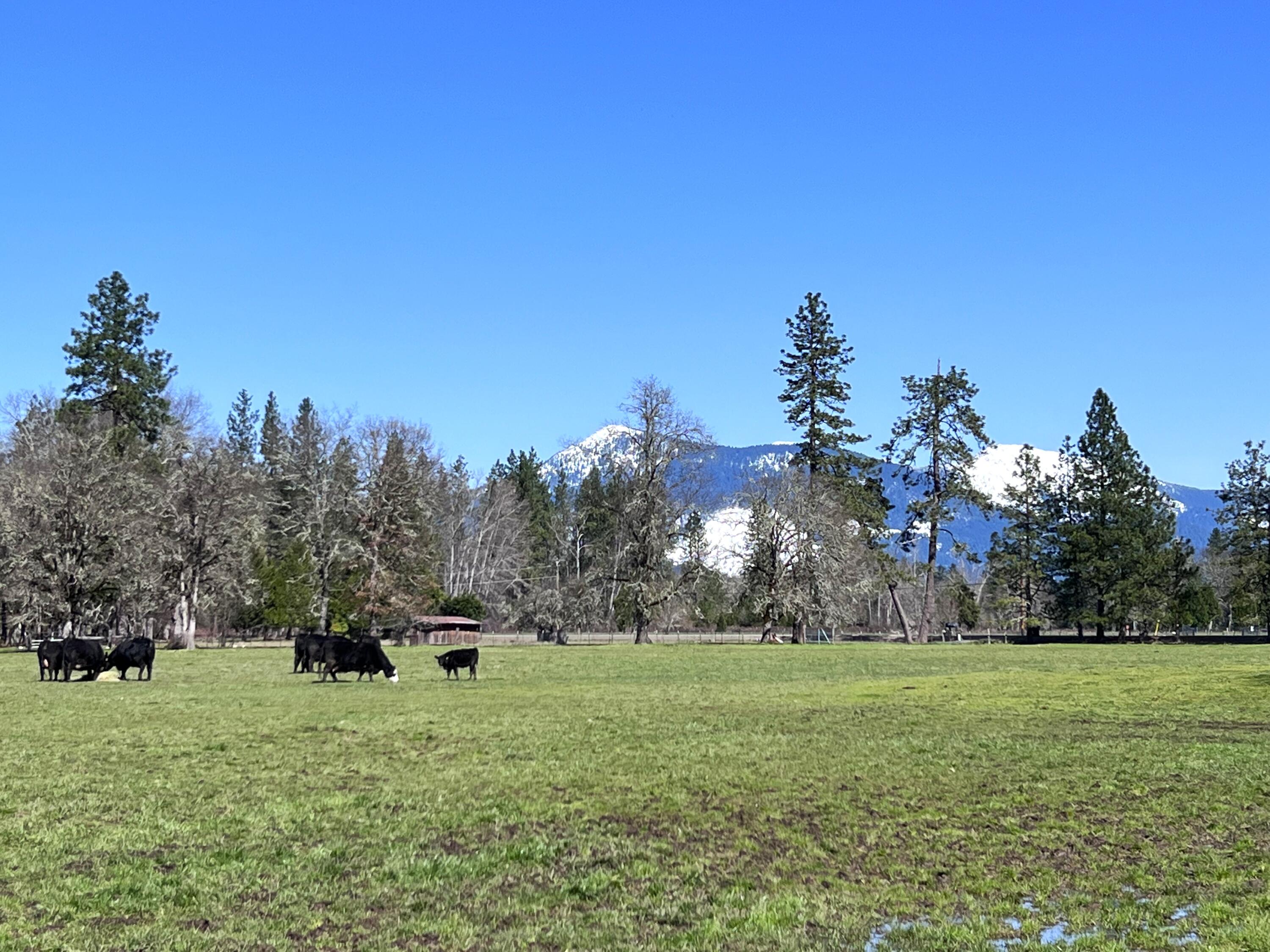 620 Dick George Road Cave Junction, OR 97523 - Photo 113 of 123 136