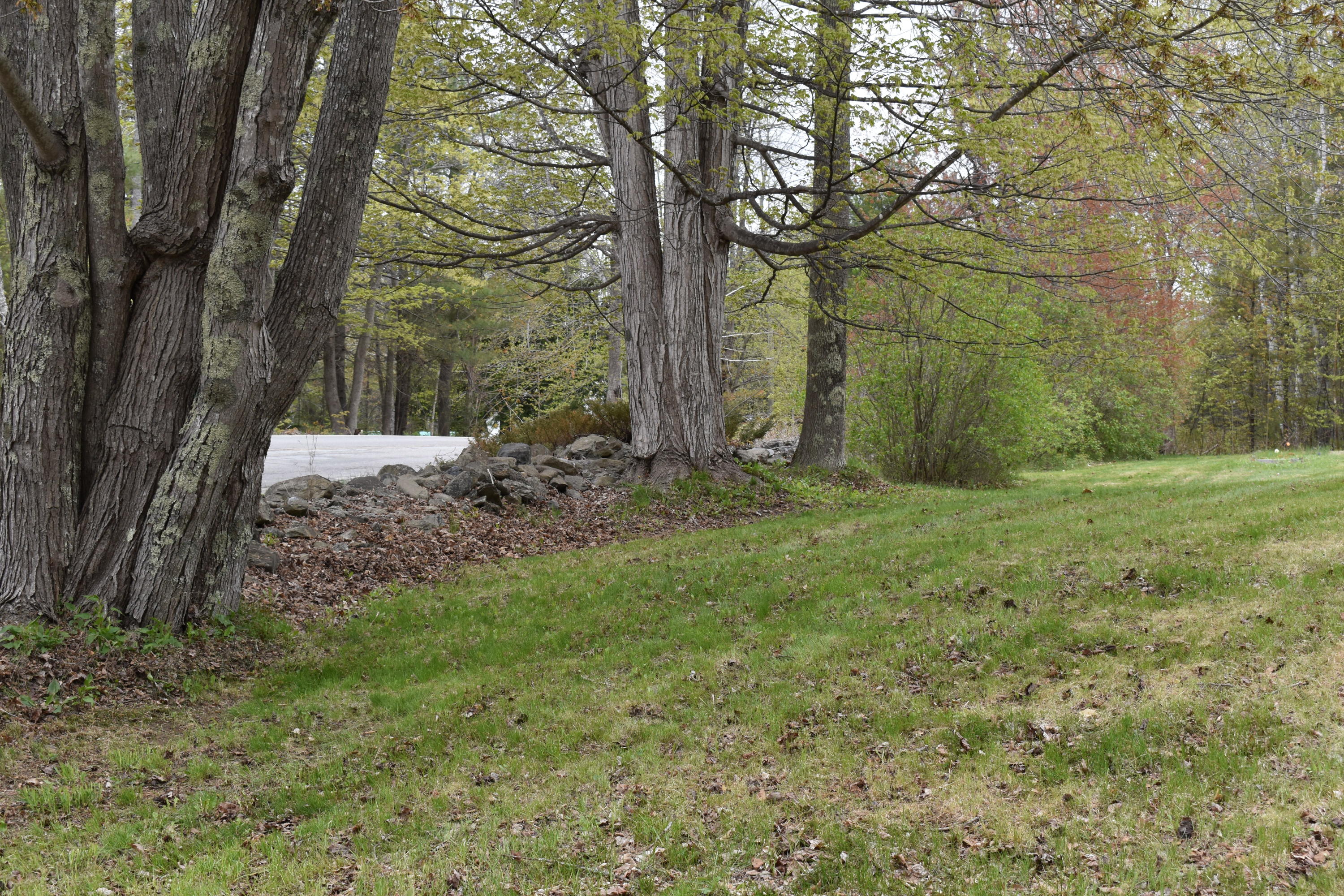1436 Carmel Road North Hampden, ME 04444 - Photo 8 of 37 DSC_0186
