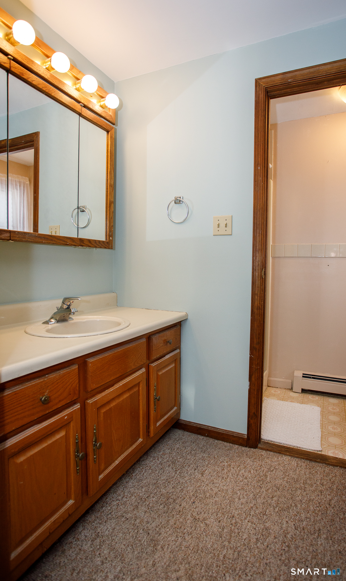 110 Pautipaug Hill Road Sprague, CT 06330 - Photo 20 of 33 a bathroom with a sink and a mirror