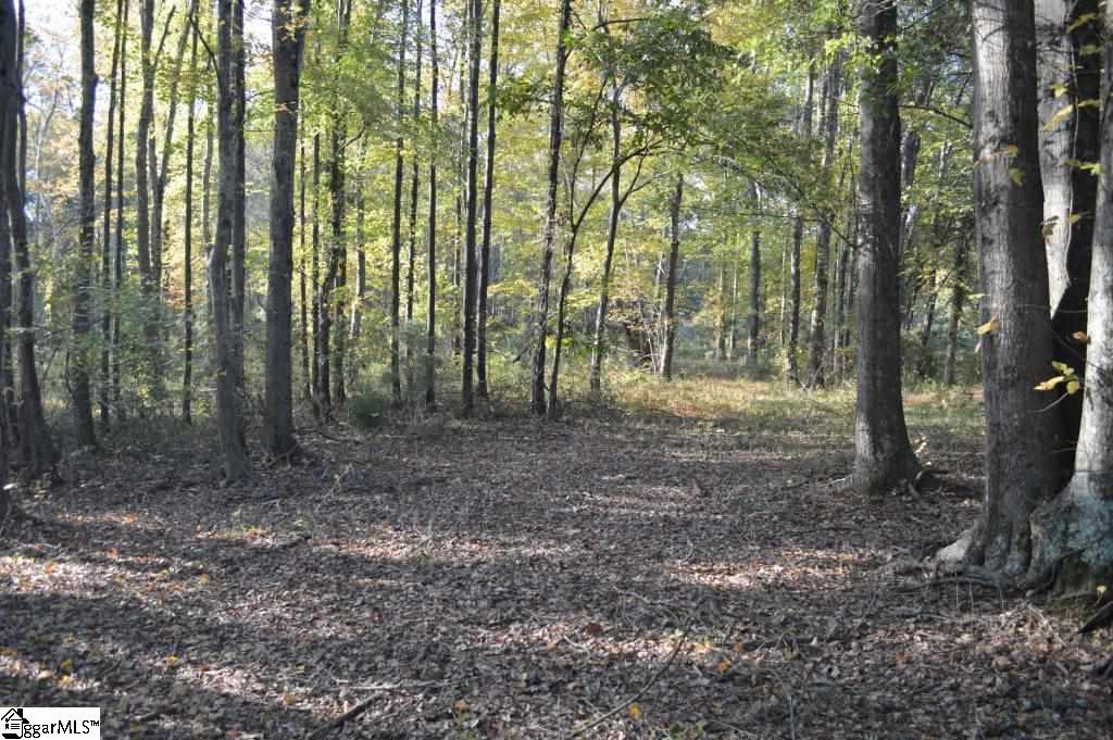 Steeplechase Road Belton, SC 29627 - Photo 3 of 14
