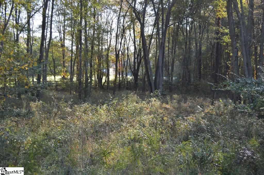 Steeplechase Road Belton, SC 29627 - Photo 8 of 14