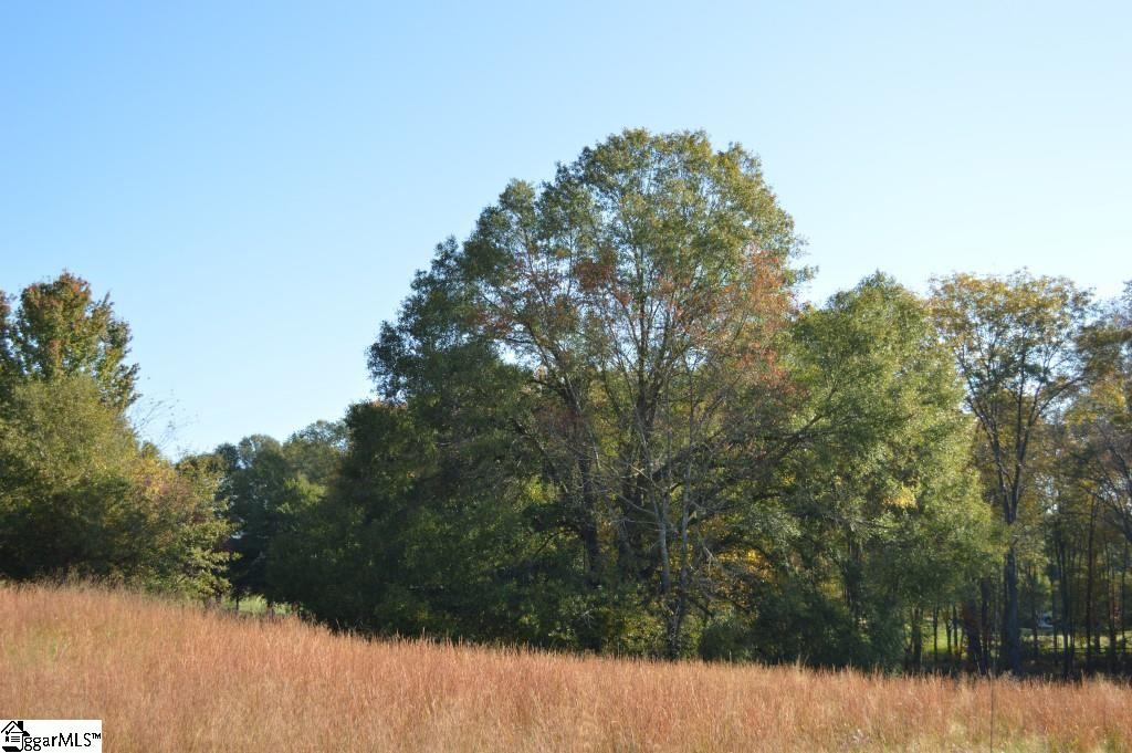 Steeplechase Road Belton, SC 29627 - Photo 10 of 14