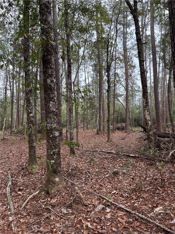 Portion Of Portion Of Road Abita Springs, LA 70420 - Photo 2 of 6 Gallery Image 2