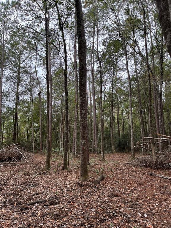 Portion Of Portion Of Road Abita Springs, LA 70420 - Photo 3 of 6 Gallery Image 3