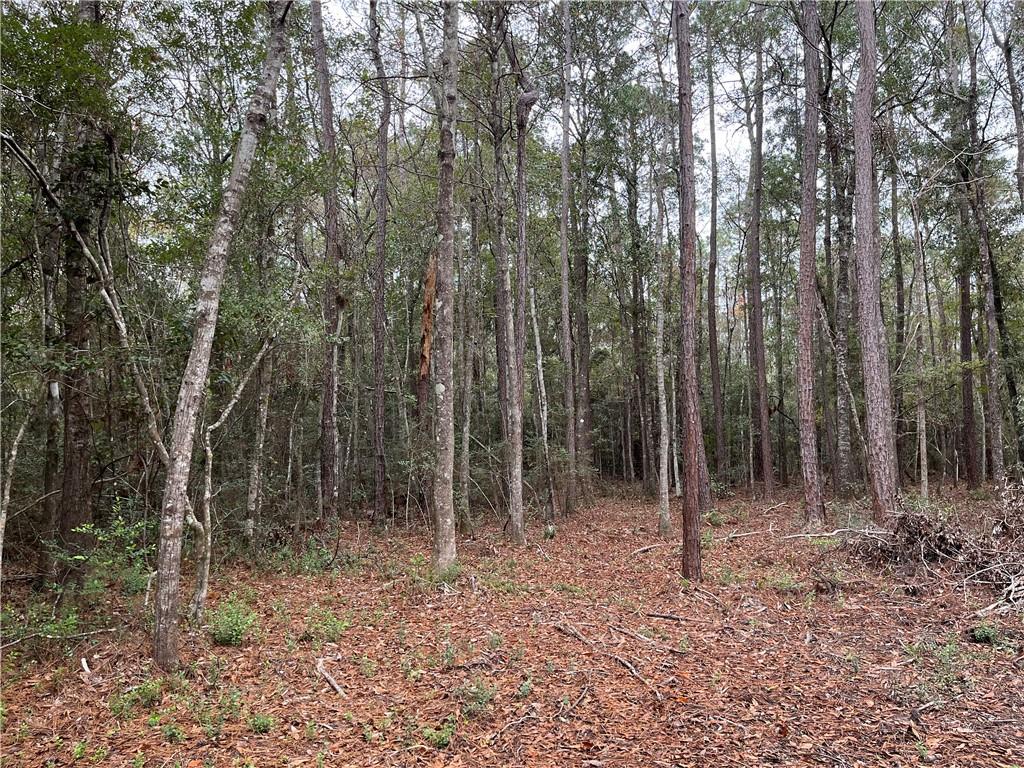Portion Of Portion Of Road Abita Springs, LA 70420 - Photo 4 of 6 Gallery Image 4