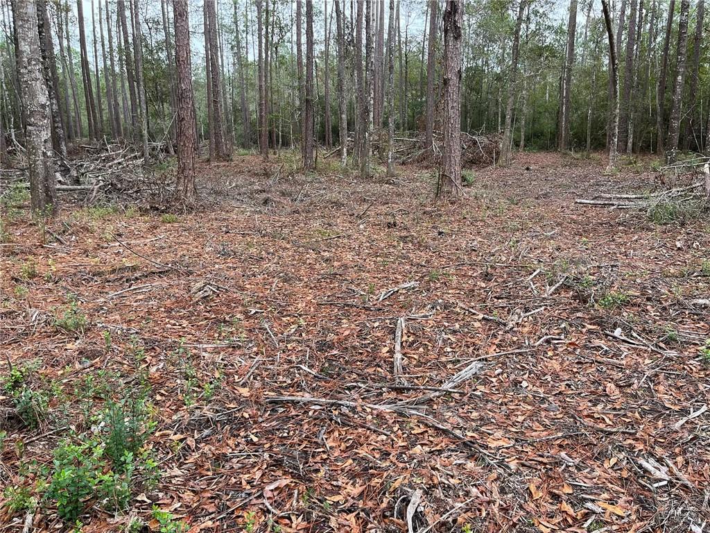 Portion Of Portion Of Road Abita Springs, LA 70420 - Photo 5 of 6 Gallery Image 5