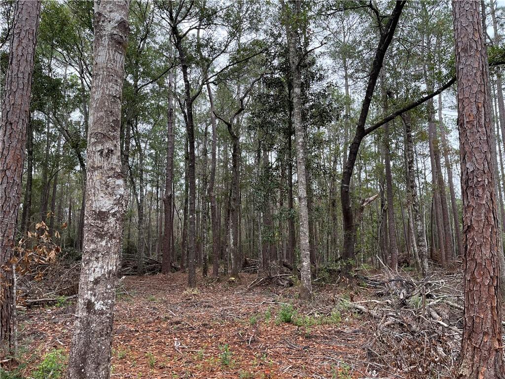 Portion Of Portion Of Road Abita Springs, LA 70420 - Photo 6 of 6 Gallery Image 6