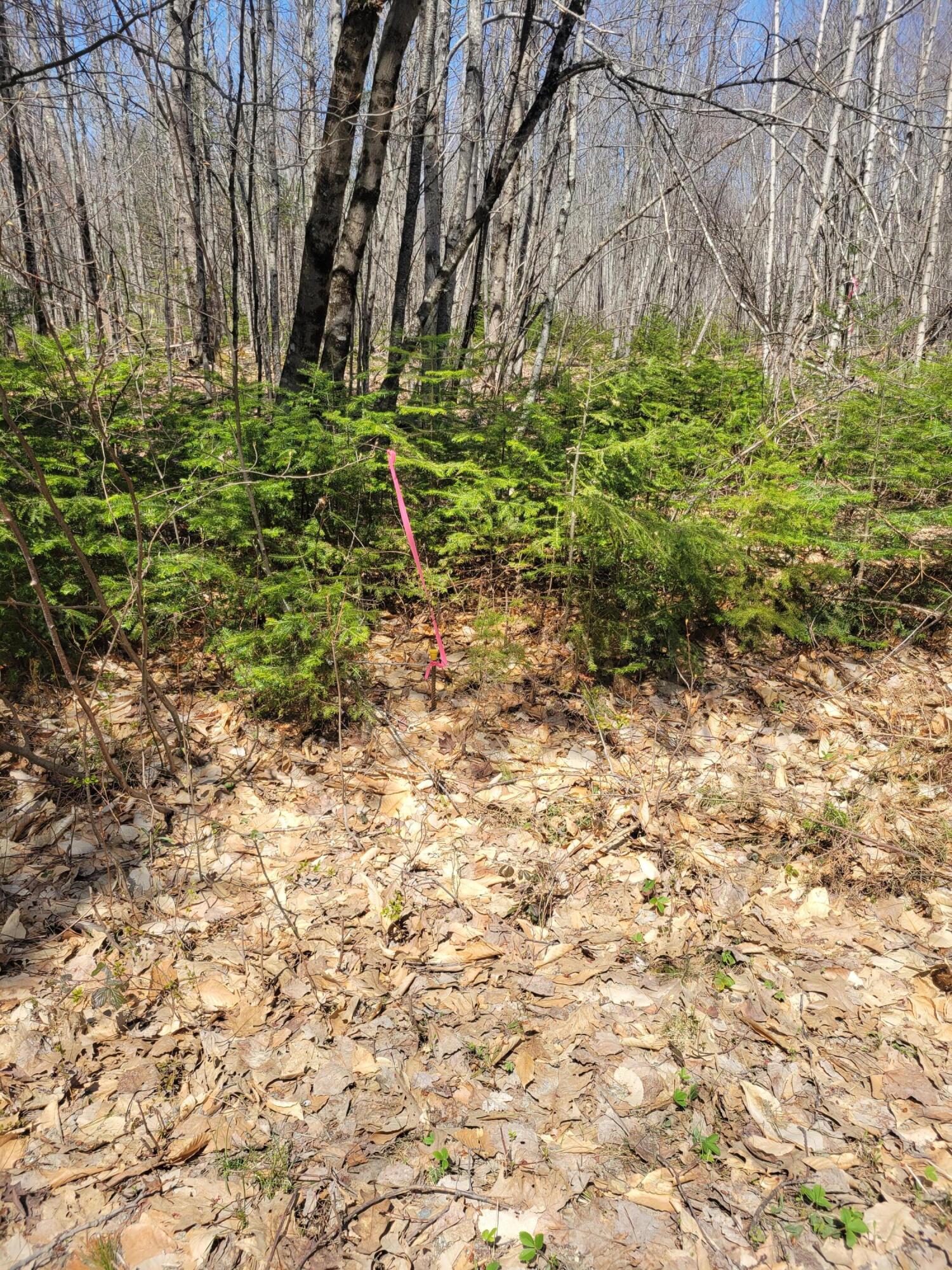 0 Middle River Road Greenbush, ME 04418 - Photo 31 of 42 20220505_113223
