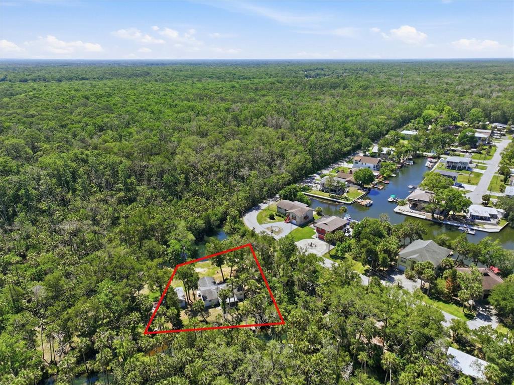 6244 Colony Circle Weeki Wachee, FL 34607 - Photo 24 of 60 an aerial view of residential houses with outdoor space and trees