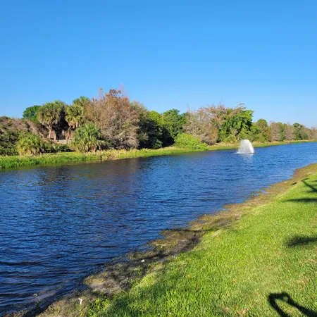 a view of a street with potted plants