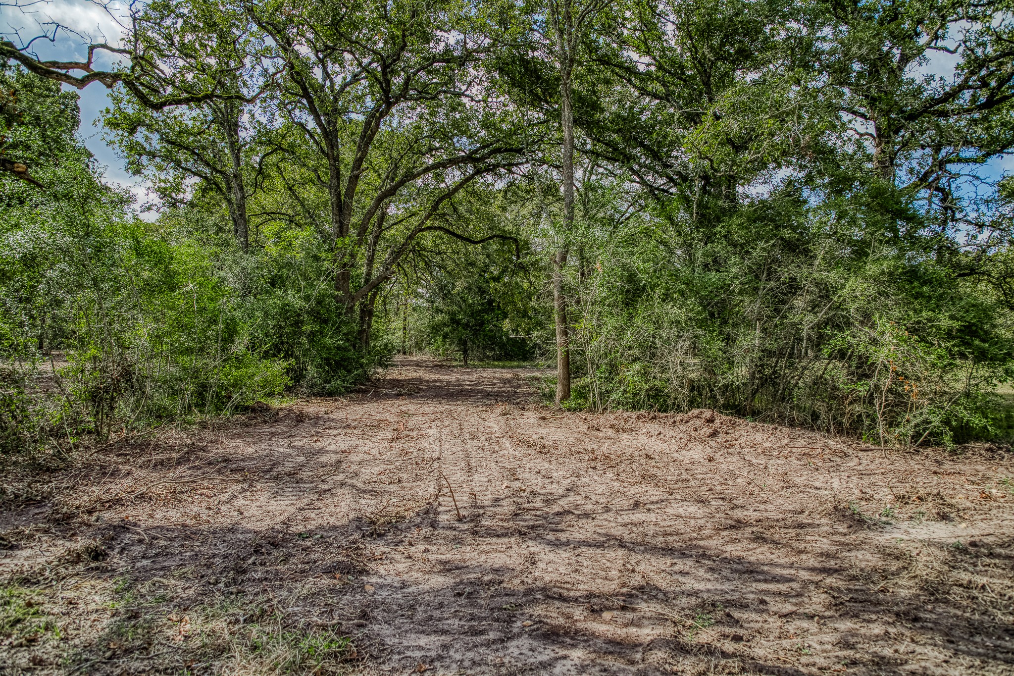 2 Sun Oil Road Brenham, TX 77833 - Photo 1 of 35 a view of a forest with trees in the background