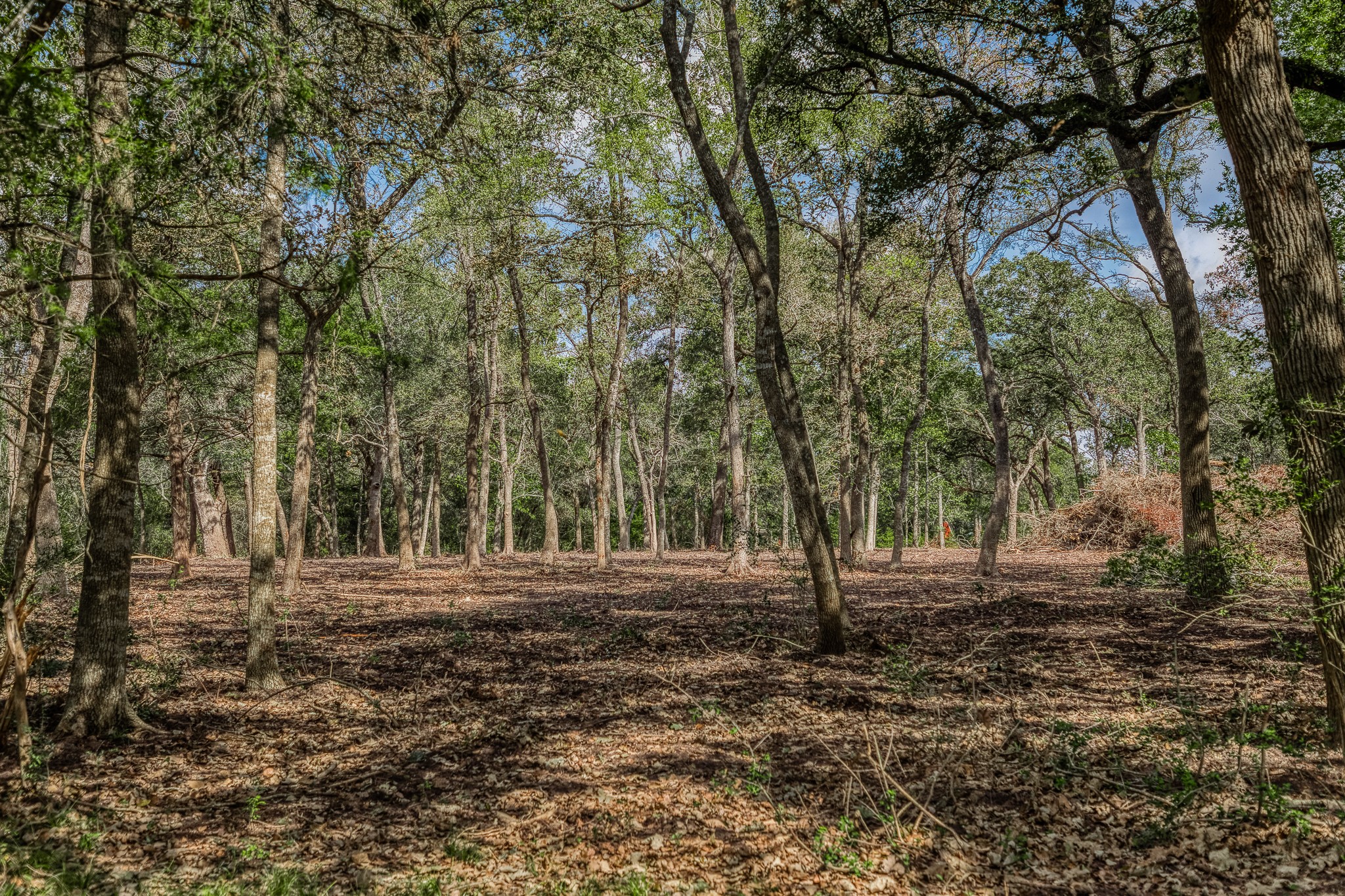 2 Sun Oil Road Brenham, TX 77833 - Photo 12 of 35 a view of outdoor space with green space
