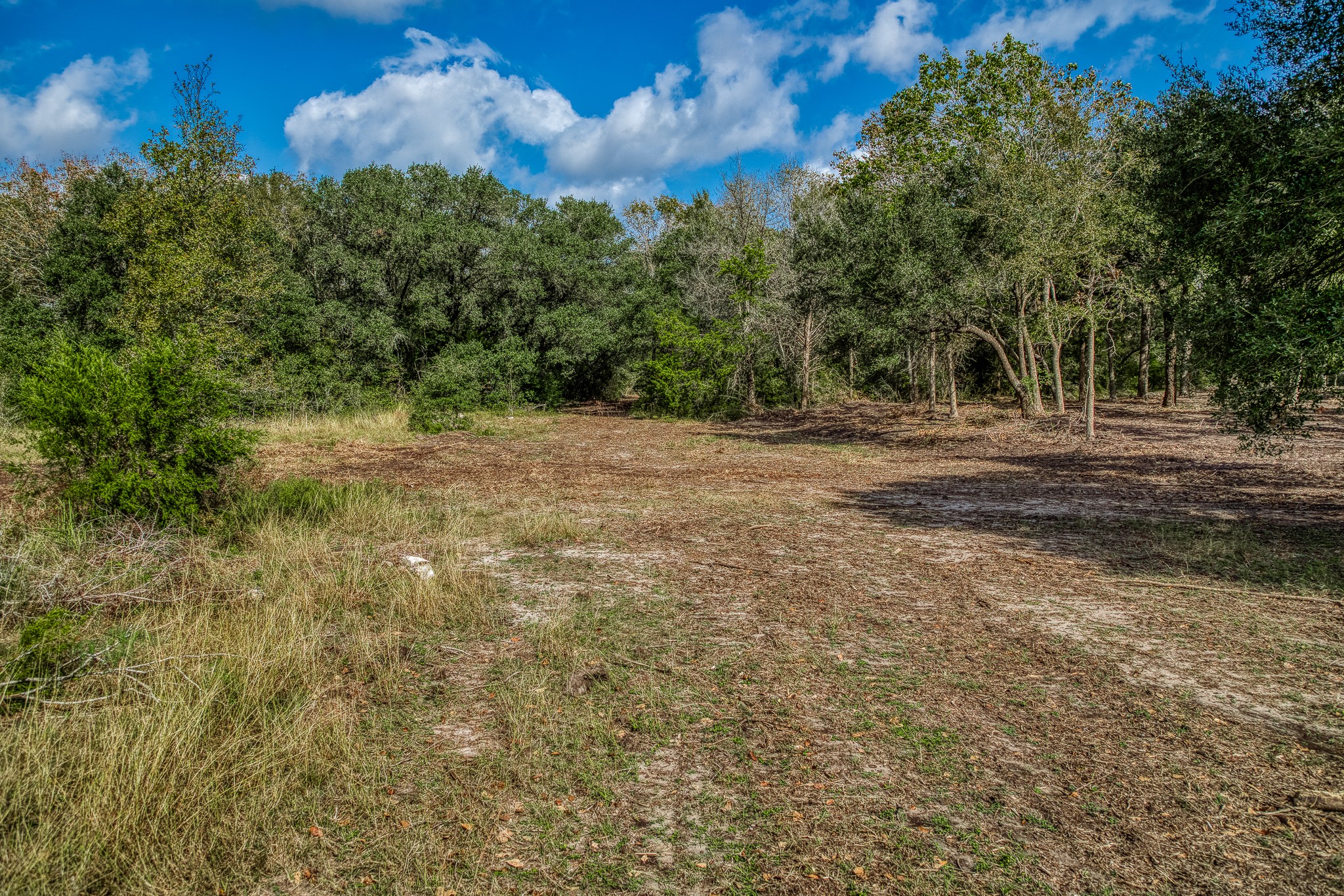 2 Sun Oil Road Brenham, TX 77833 - Photo 16 of 35 a view of outdoor space with trees all around