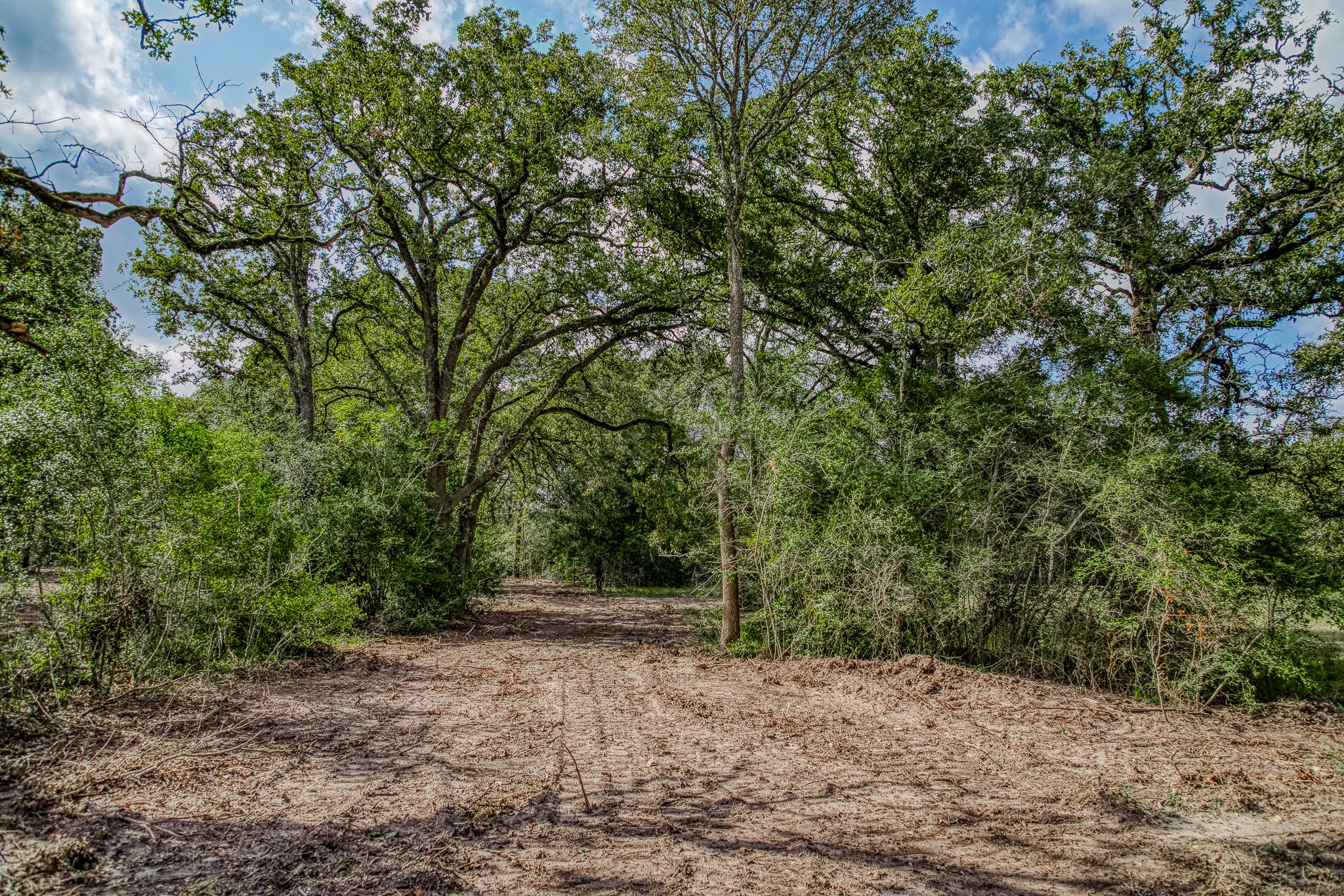 2 Sun Oil Road Brenham, TX 77833 - Photo 2 of 35 a view of outdoor space and yard