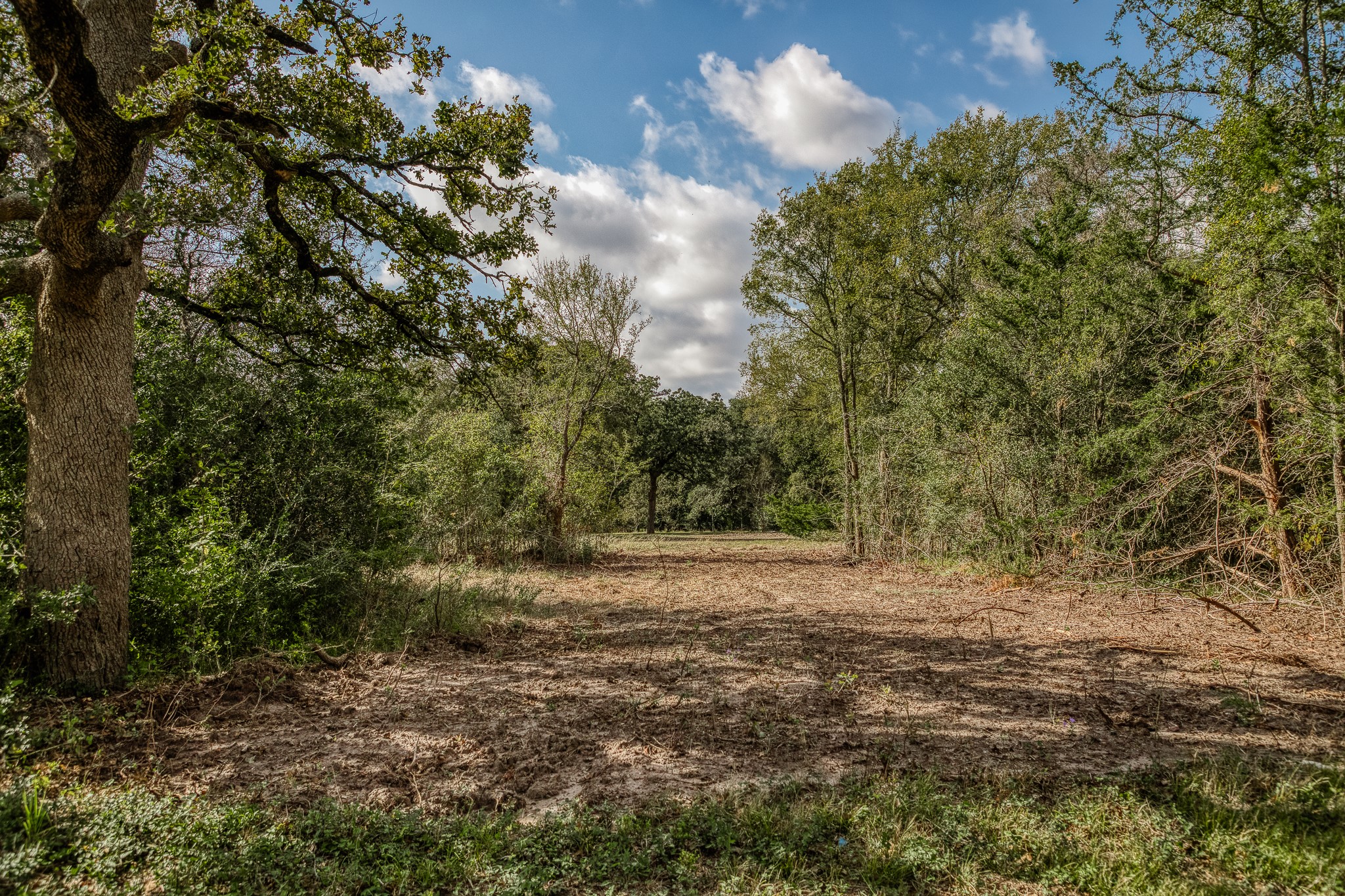 2 Sun Oil Road Brenham, TX 77833 - Photo 24 of 35 a view of outdoor space with trees all around