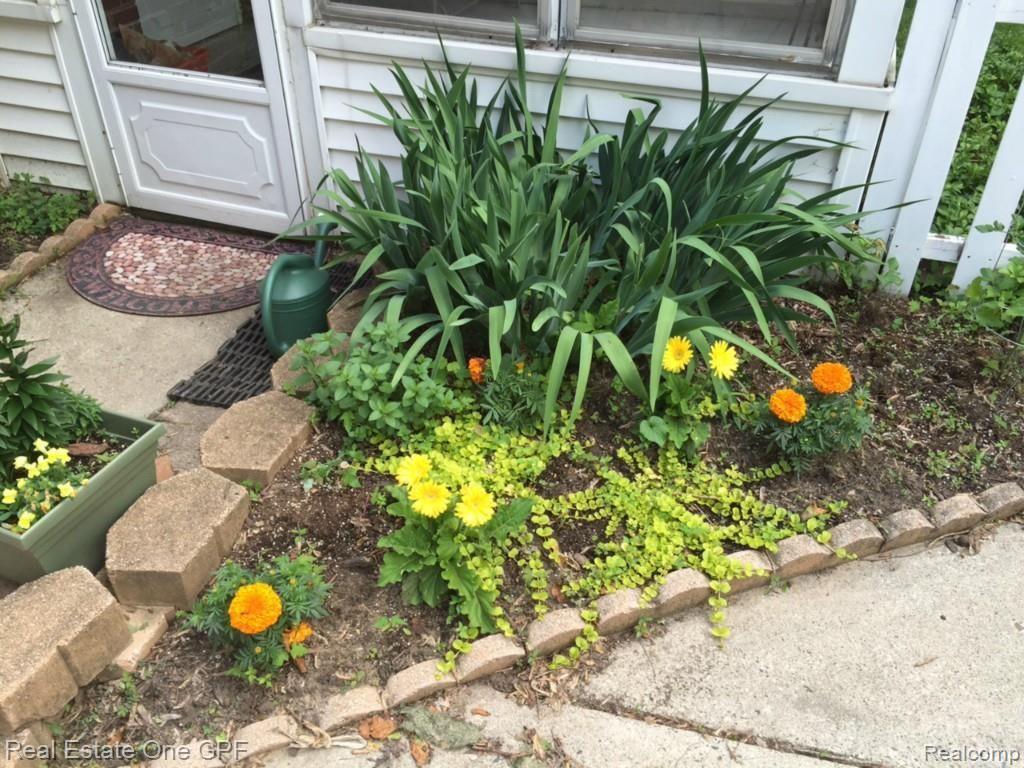 269 Kerby Road Grosse Pointe, MI 48236 - Photo 15 of 15 14 IMG_0046.jpg