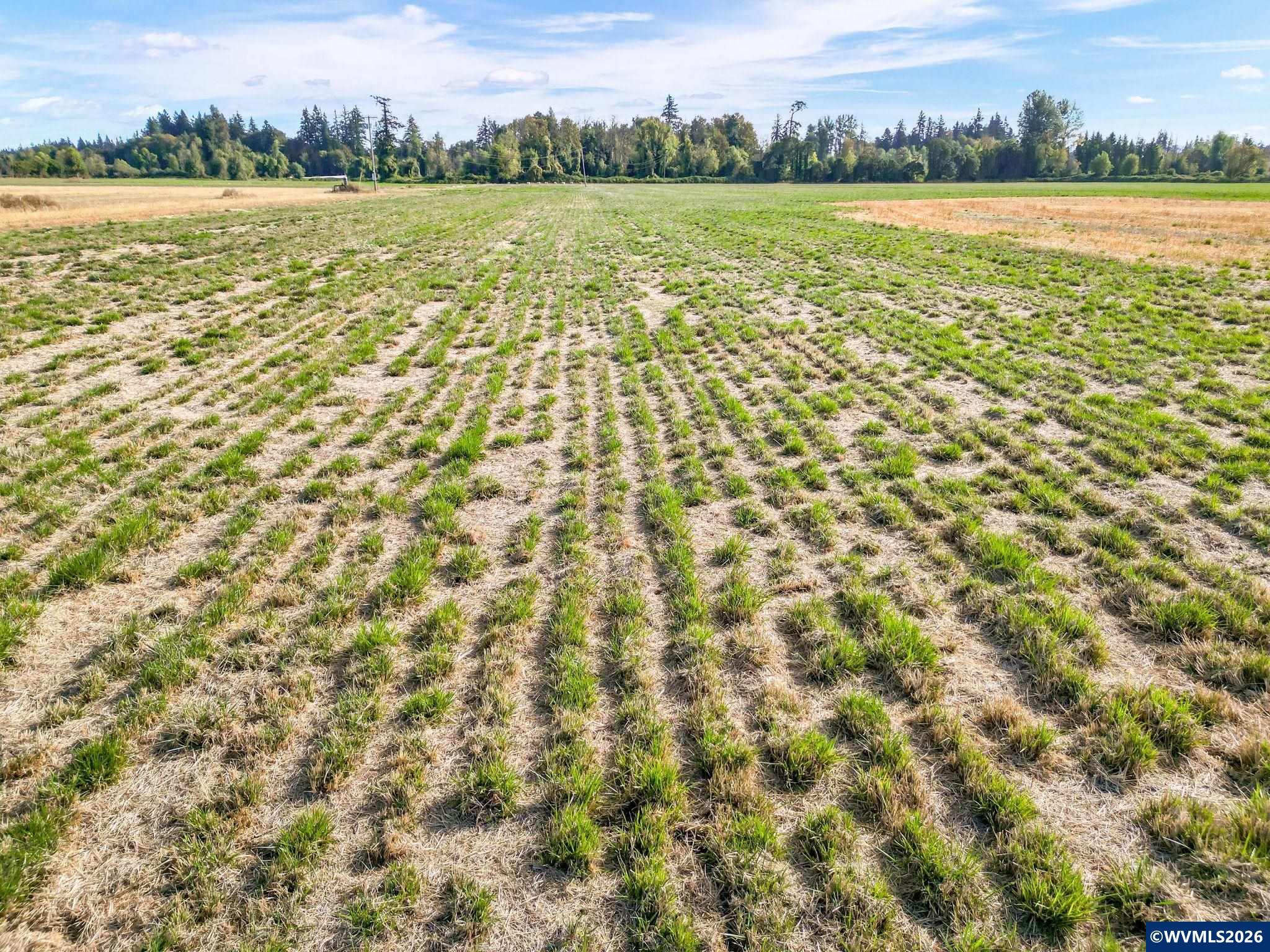 12984 Elliott Prairie Road Northeast Woodburn, OR 97071 - Photo 37 of 48