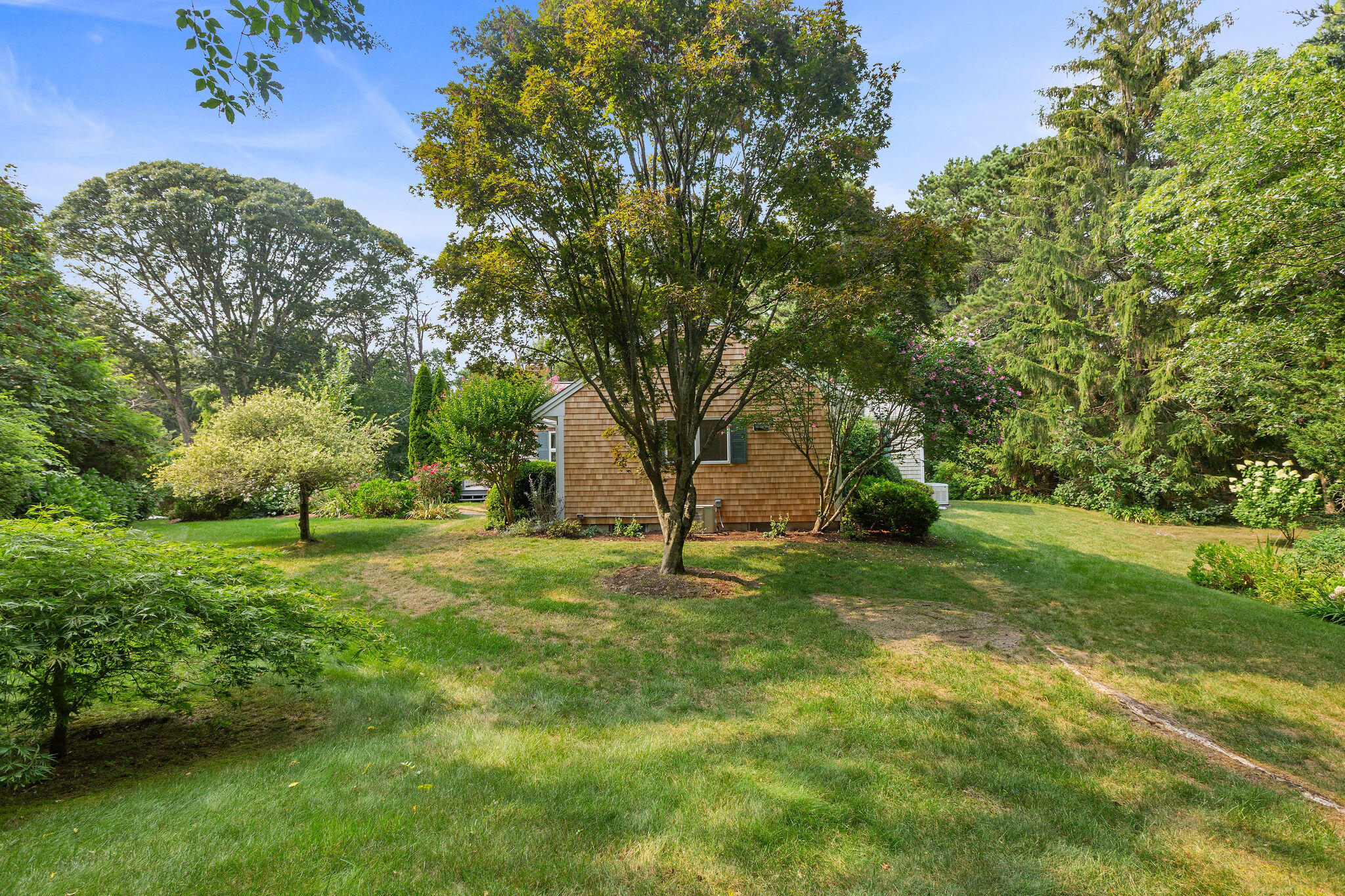 75 Monument Road Orleans, MA 02653 - Photo 12 of 61 a view of a trees with a big yard