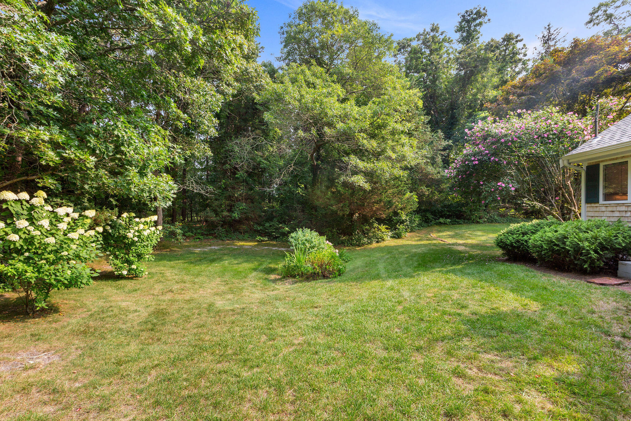 75 Monument Road Orleans, MA 02653 - Photo 15 of 61 a view of backyard with green space