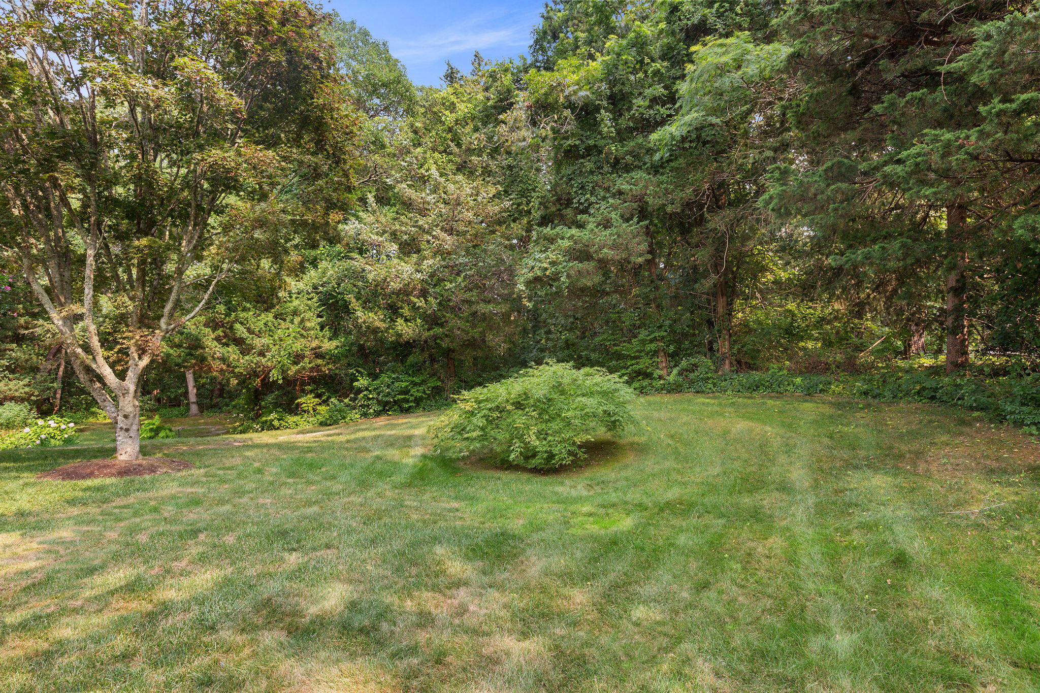 75 Monument Road Orleans, MA 02653 - Photo 16 of 61 a green field with lots of trees