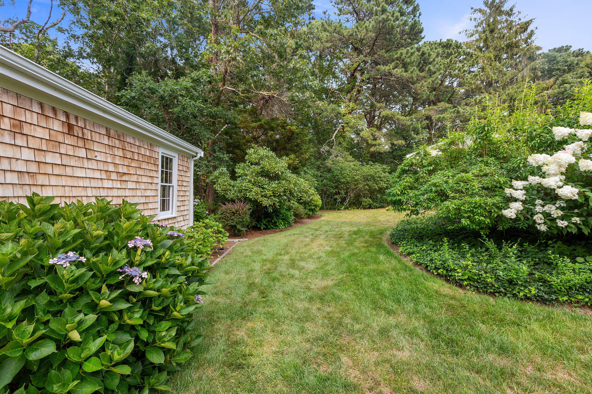 75 Monument Road Orleans, MA 02653 - Photo 25 of 61 a view of a backyard with plants and large trees