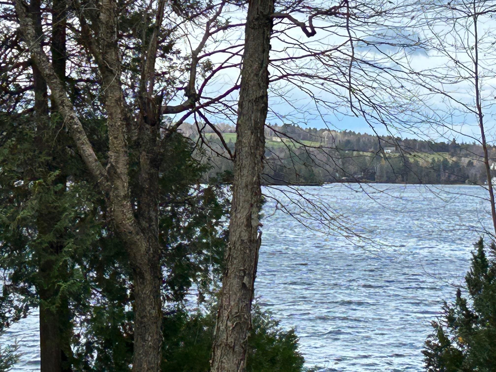 104 North Winnimere Road Greensboro, VT 05841 - Photo 3 of 31