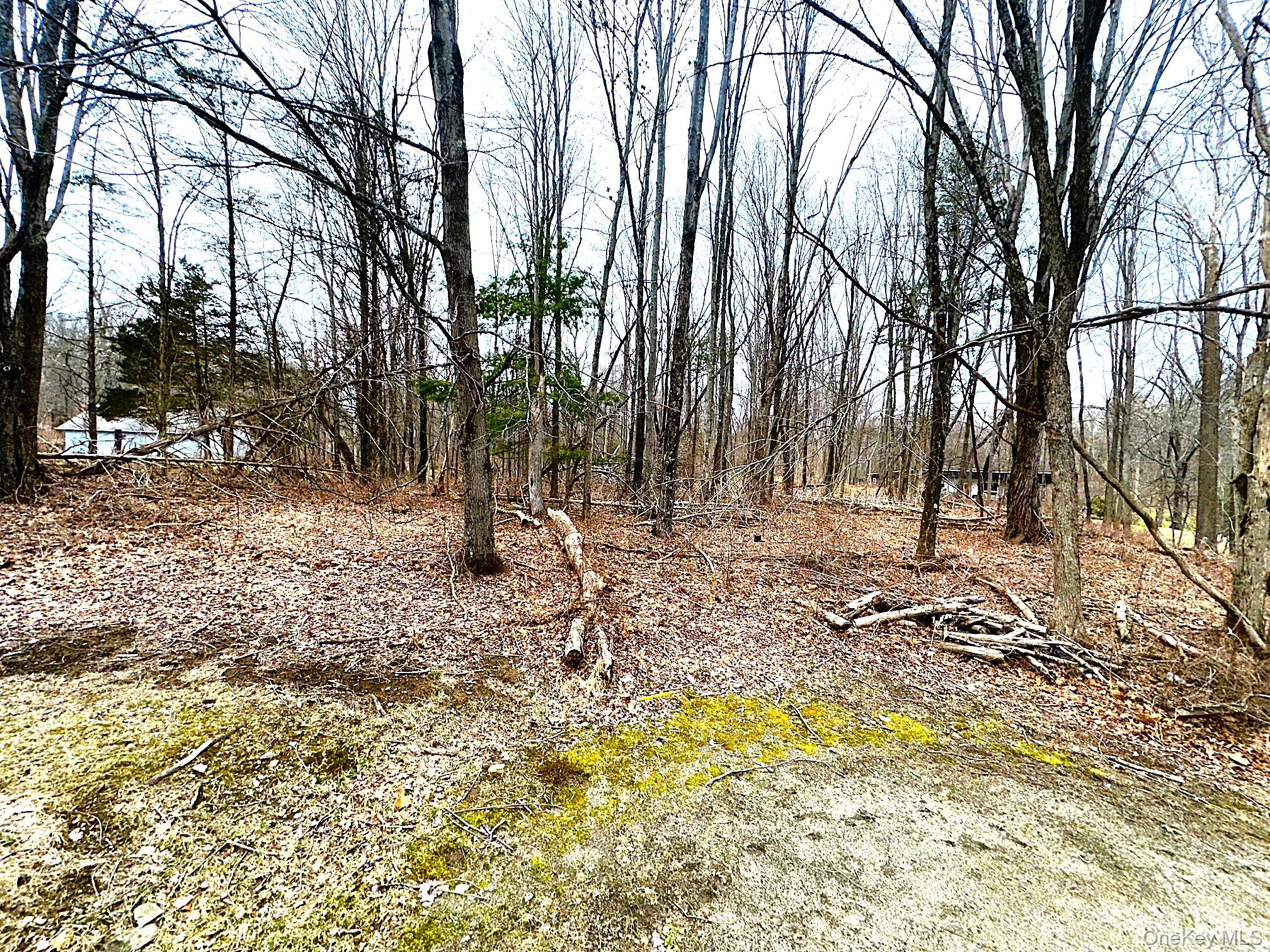 88 West Pine Road Staatsburg, NY 12580 - Photo 27 of 28 plenty of room to create your outside space