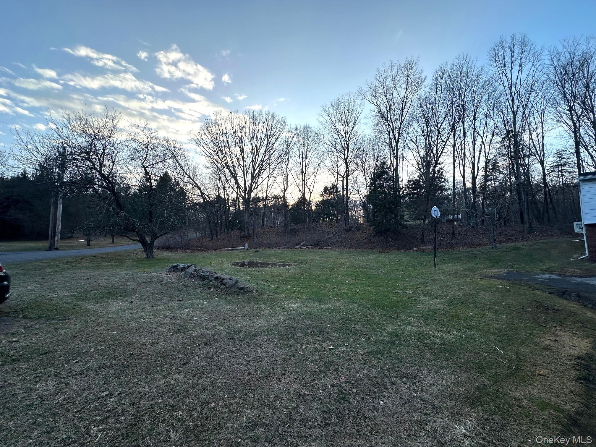 88 West Pine Road Staatsburg, NY 12580 - Photo 28 of 28 4 acres to enjoy. It can be a very large playground