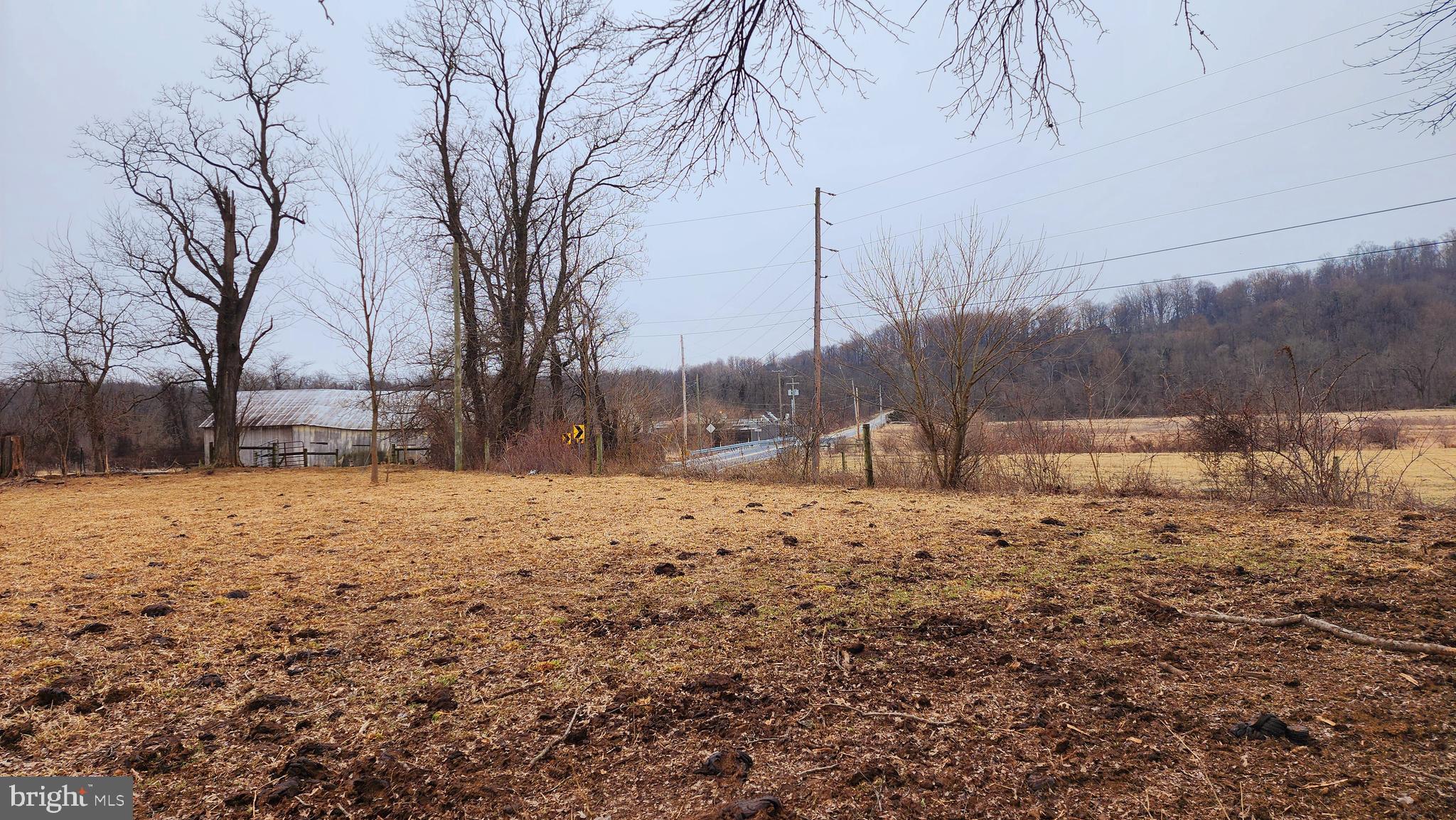 140 Water Street Fairfield, PA 17320 - Photo 39 of 40 a view of dirt yard with a large tree