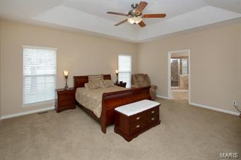 323 Ries Bend Road Ballwin, MO 63021 - Photo 13 of 17