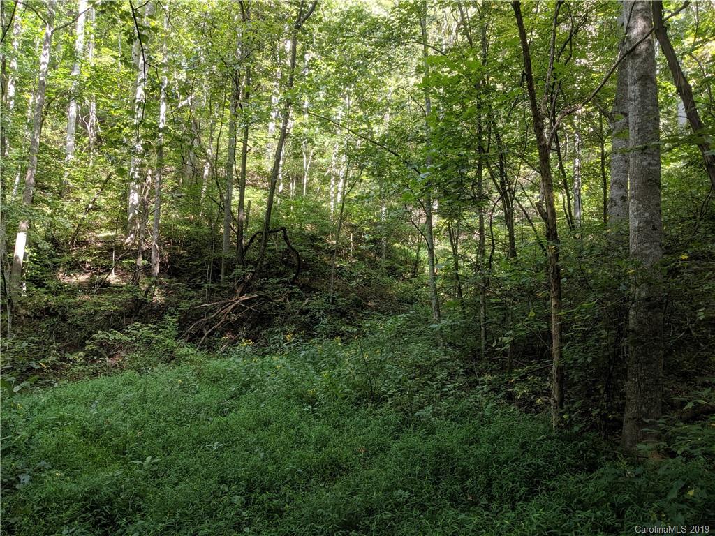 363 High Rock Mountain Road Marshall, NC 28753 - Photo 11 of 15 Gallery Image 11